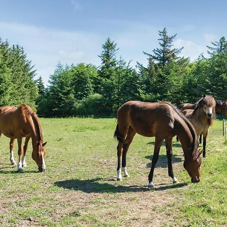 22-bedroom In Henne * هين ستراند