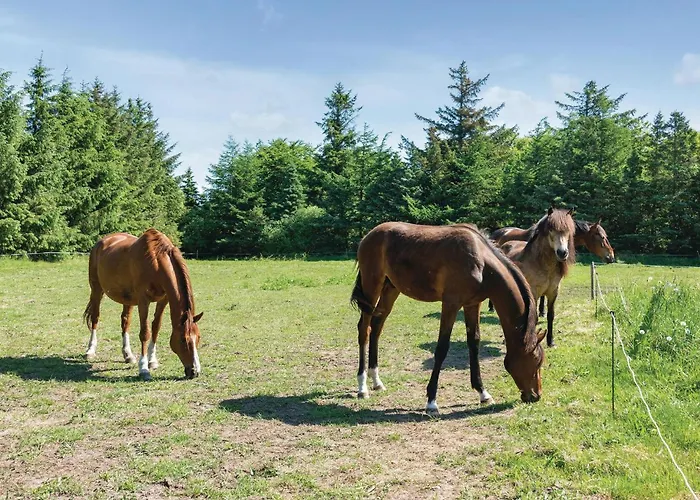 22-bedroom In Henne * ヘンネ・ストランド